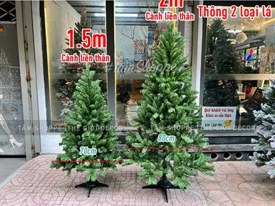 Cây thông Noel xanh trơn 2 loại lá đầu tròn từ 150-200cm X-TREE-14